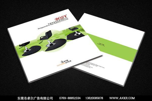 東莞畫(huà)冊(cè)設(shè)計(jì)與廣告宣傳 打造品牌形象的專業(yè)選擇